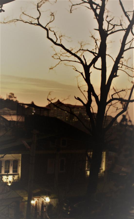 Prakash Cottage Shimla Eksteriør billede
